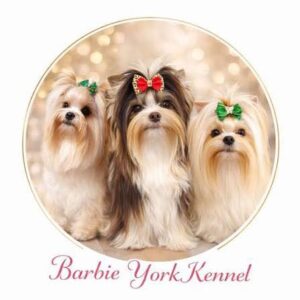 Barbie York Kennel